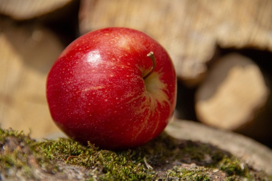 Fresh red apple with the skin on, resting on a mossy log