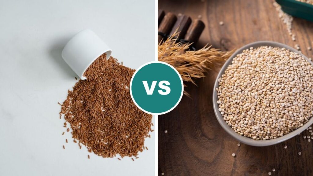 Brown Rice vs Quinoa