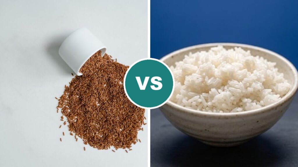 Brown Rice vs White Rice