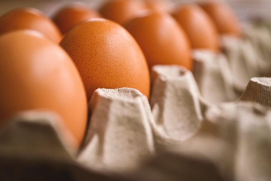 Fresh brown chicken eggs in a cardboard egg carton