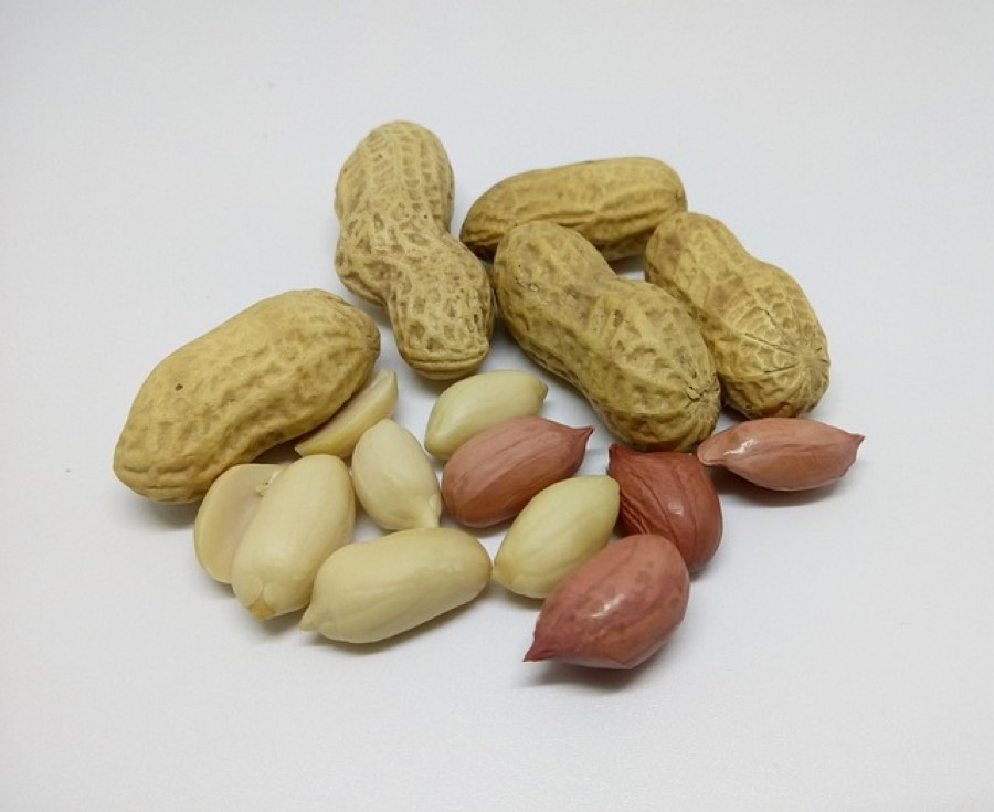 Peanuts in their shells beside raw peanut kernels, some with their red skins still on