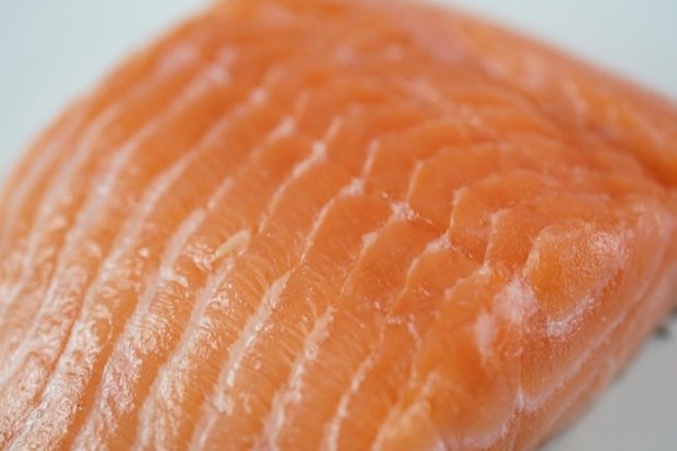 Raw salmon fillet