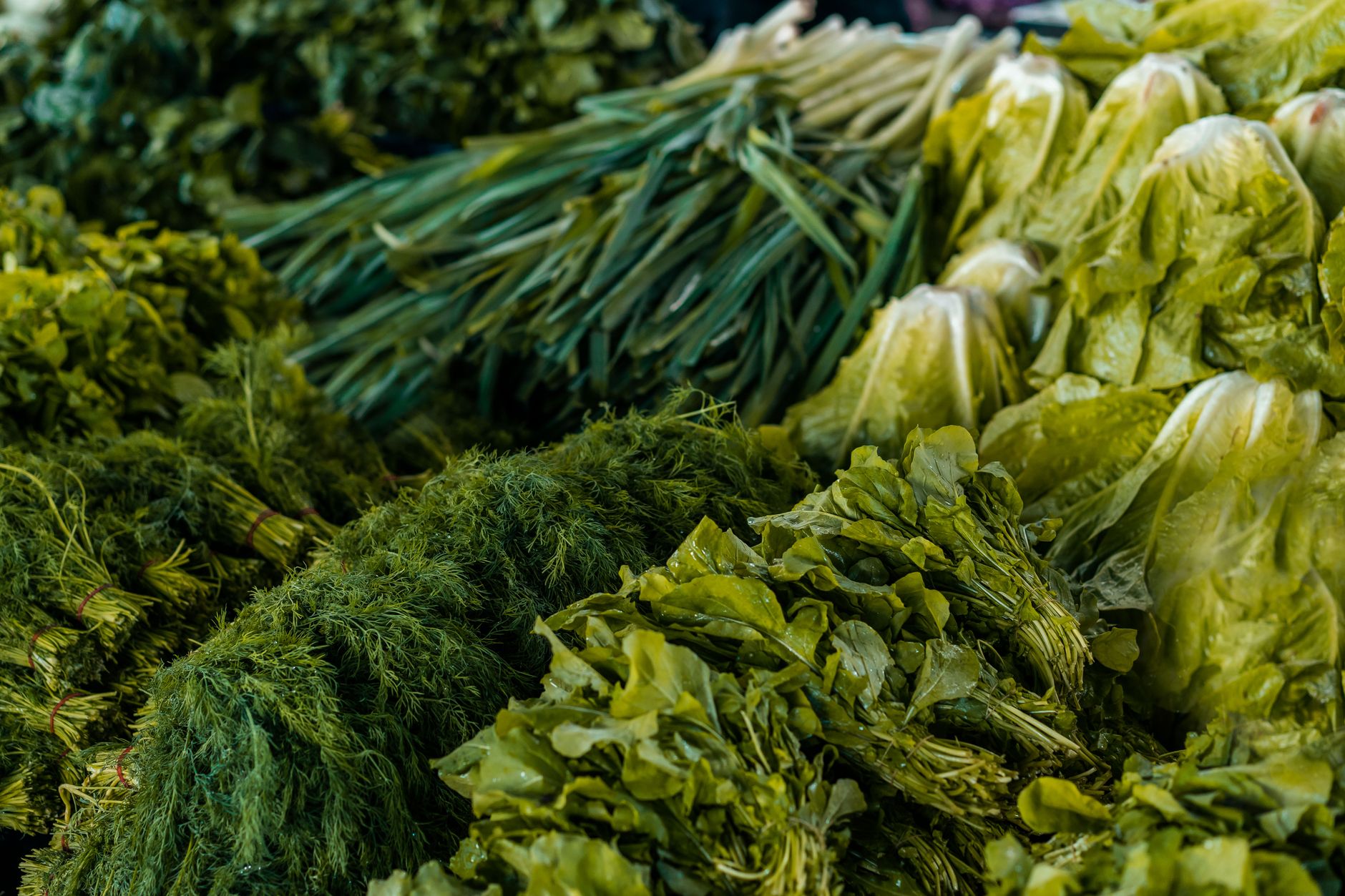 Fresh dill, spring onions, romaine lettuce and leafy greens at a market stall for an AIP shopping list