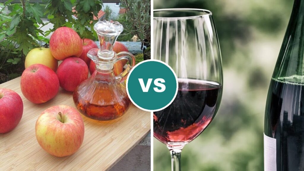 Apple Cider Vinegar vs Red Wine