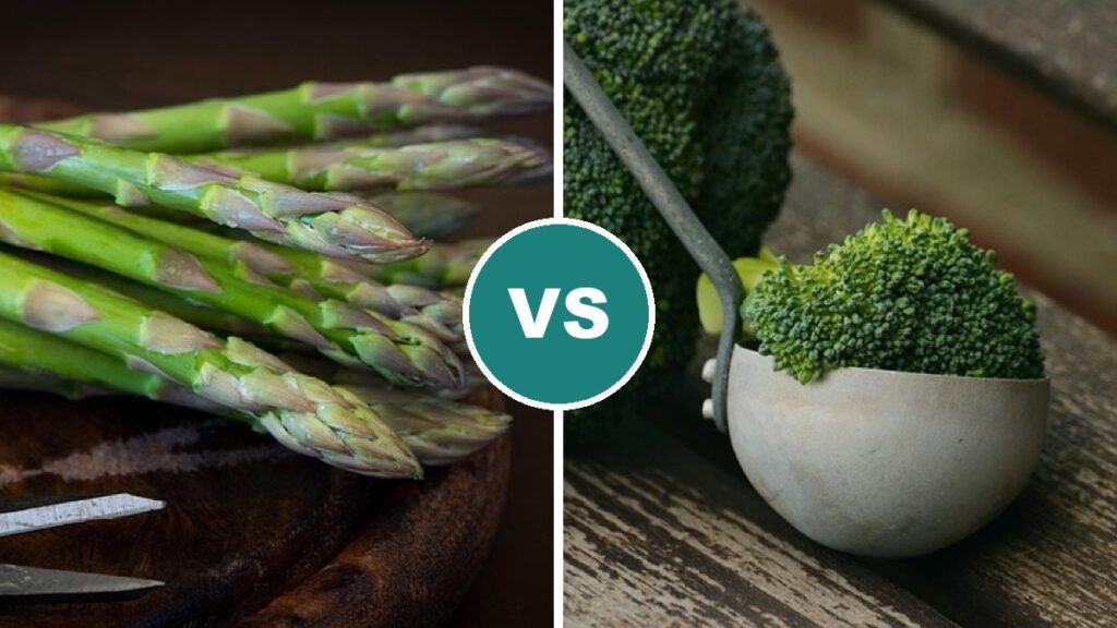 Asparagus vs Broccoli