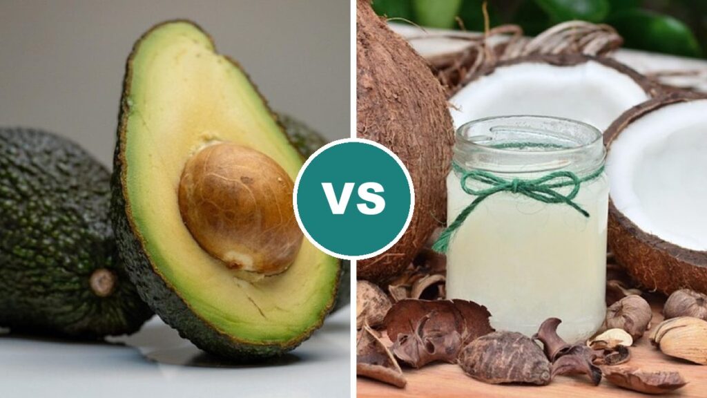 Avocado vs Coconut Oil