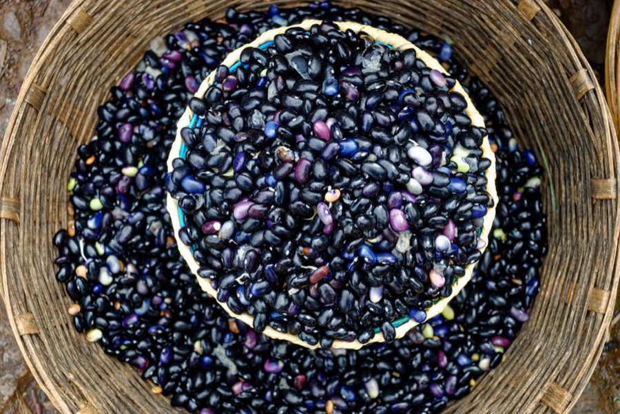 Raw black beans with dark purple skins in a woven basket