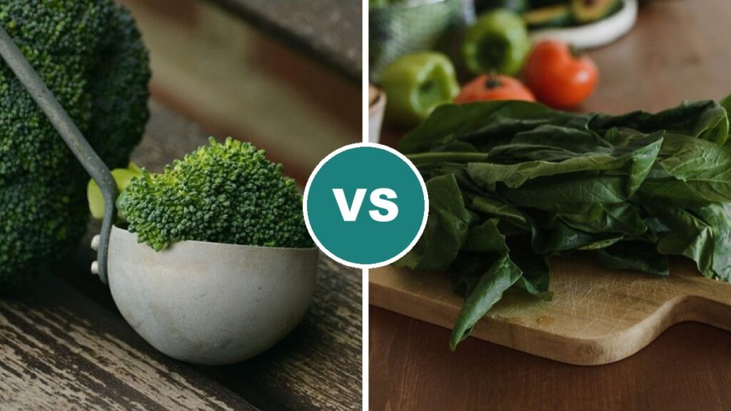 Broccoli vs Spinach