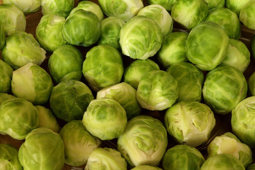 Close-up of raw Brussels sprouts piled together, showing their tight green leaves and pale trimmed stems