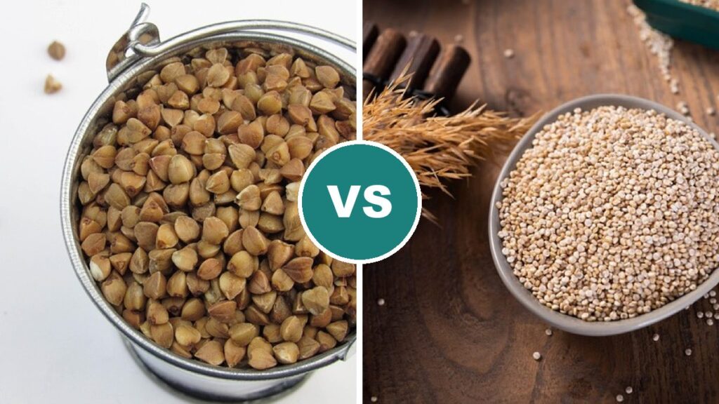 Buckwheat vs Quinoa