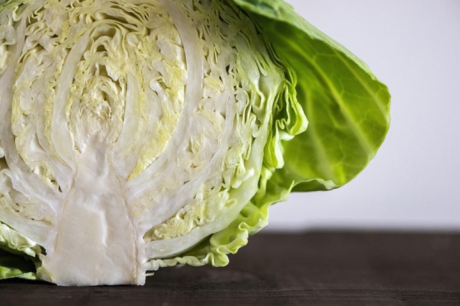 A green cabbage cut in half, showing the pale leaves packed tight in layers inside the head
