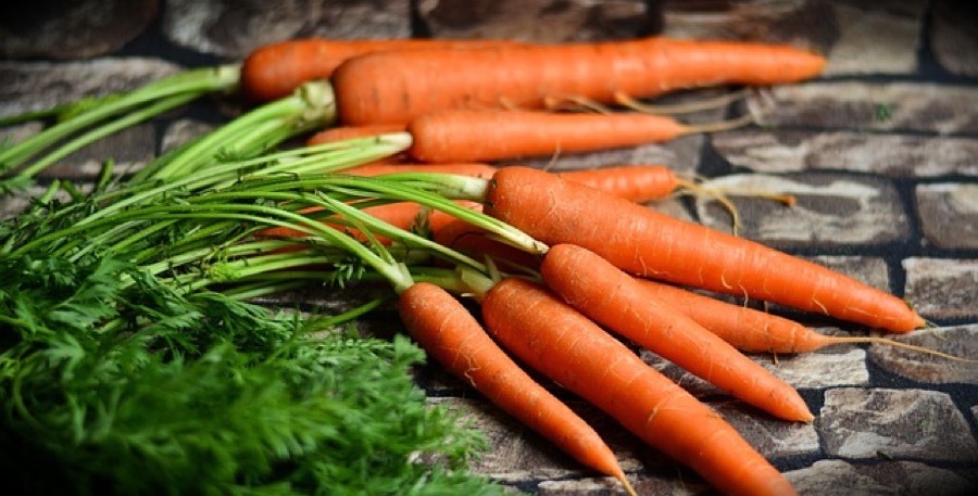 A bunch of fresh whole carrots with their green tops on a stone surface