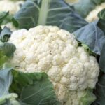 Cauliflower
