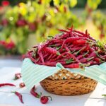 Cayenne Pepper