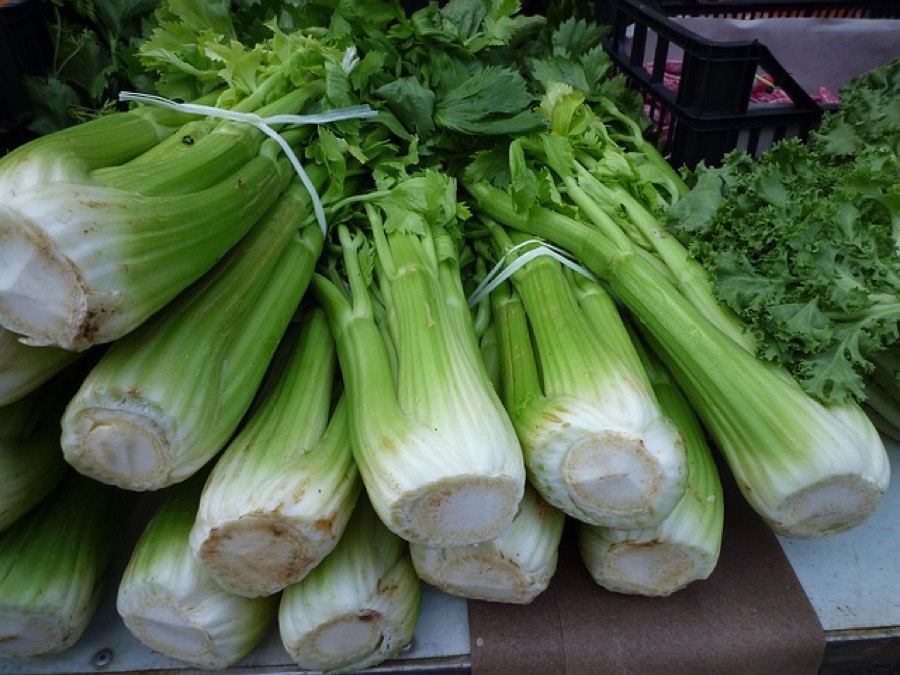 Whole celery bunches with their leaves stacked on a market stall