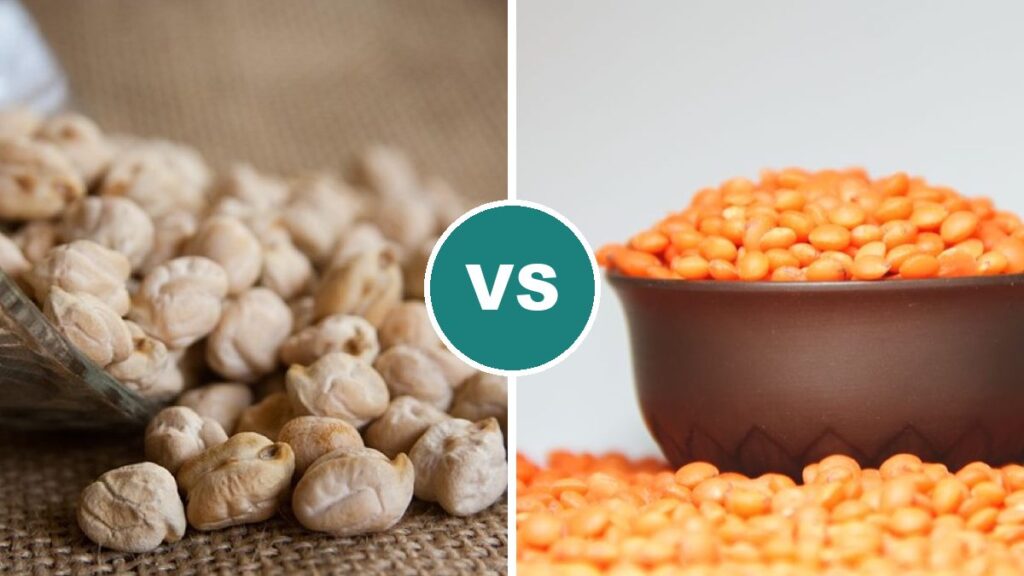 Chickpeas vs Lentils
