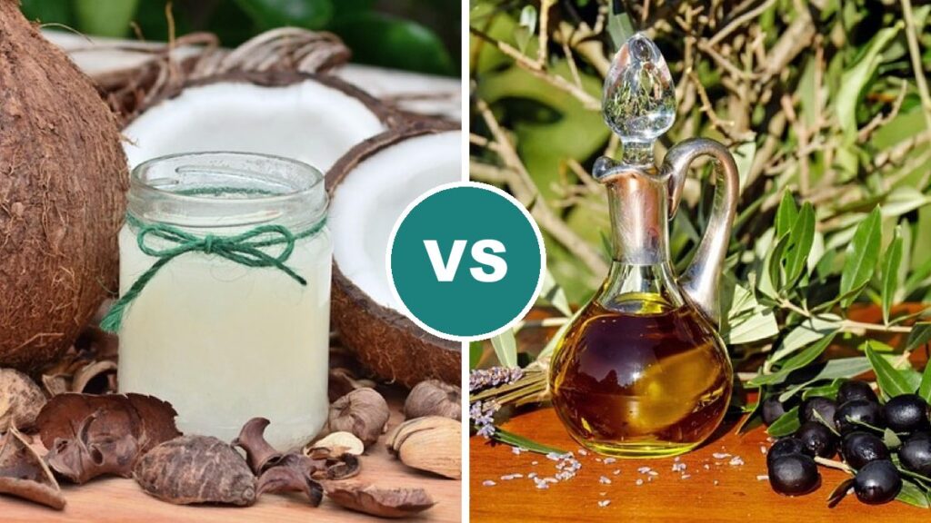 Coconut Oil vs Olive Oil