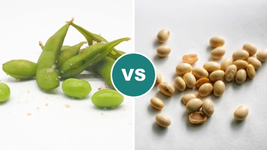 Edamame vs Soy
