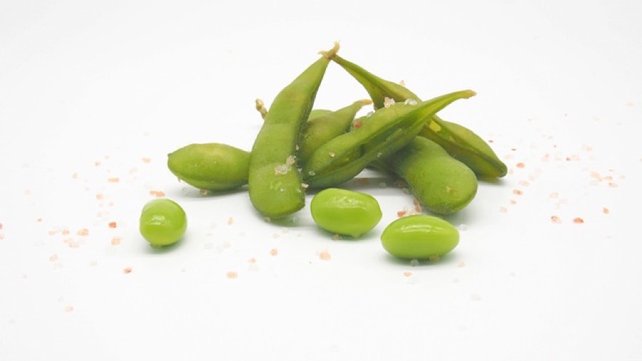Edamame pods and shelled green soybeans on a white surface