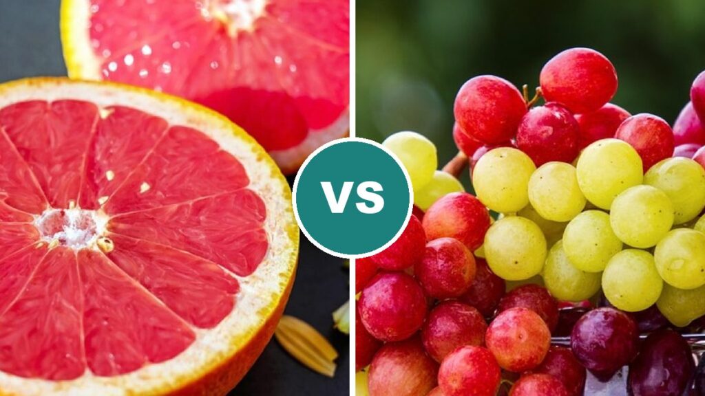 Grapefruit vs Grapes