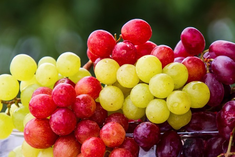 Bunches of green, red and black table grapes side by side