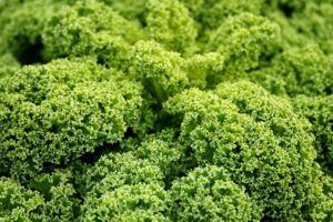 Kale