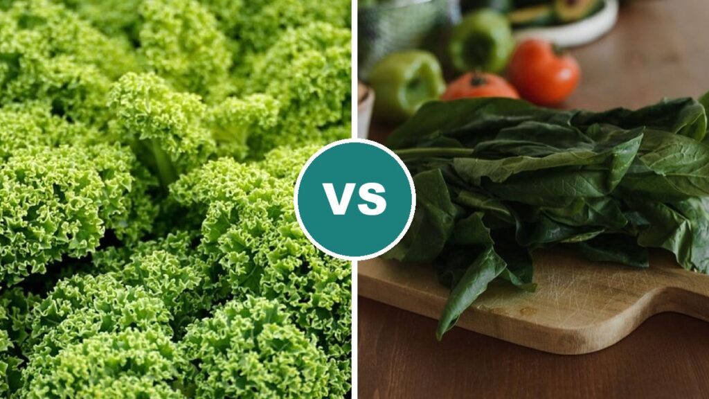 Kale vs Spinach