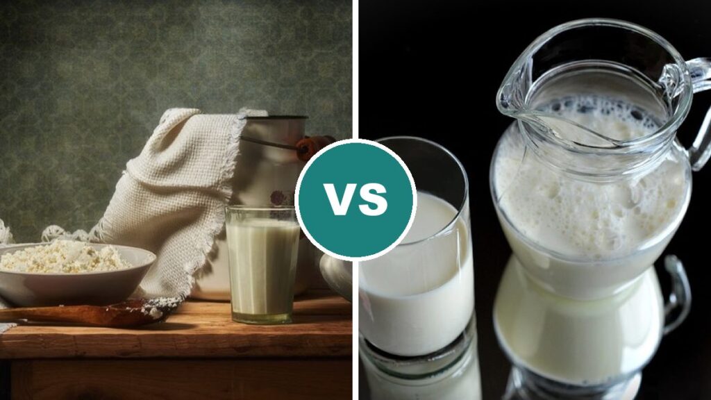Kefir vs Milk