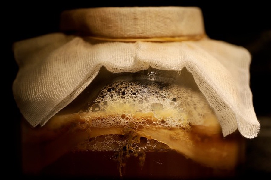 Kombucha fermenting in a glass jar with its culture of bacteria and yeast under a cloth cover