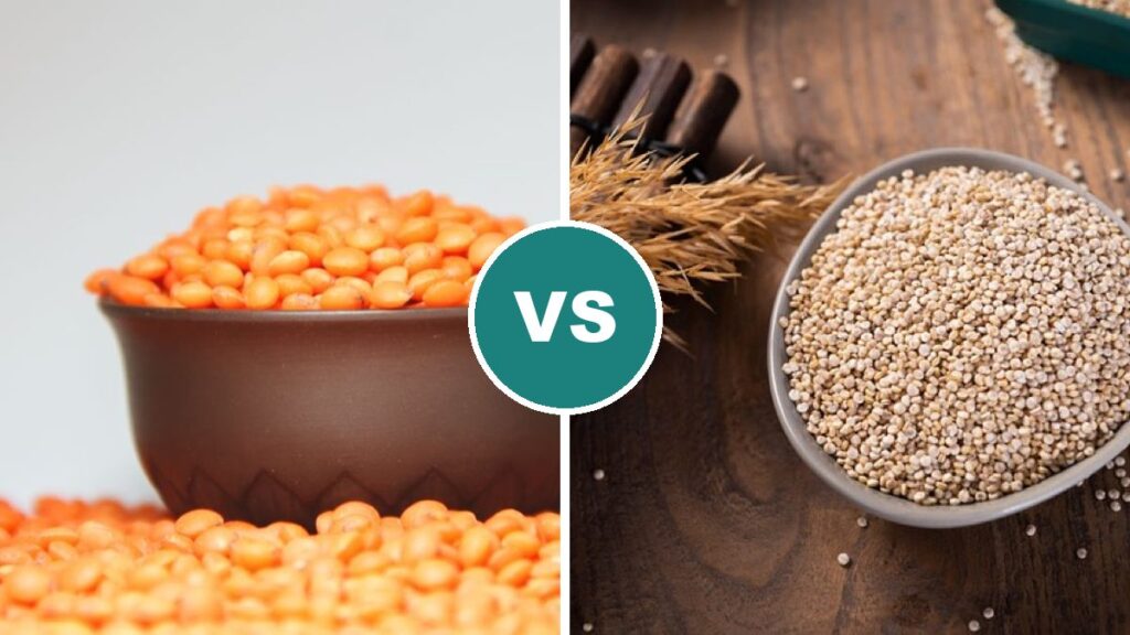 Lentils vs Quinoa