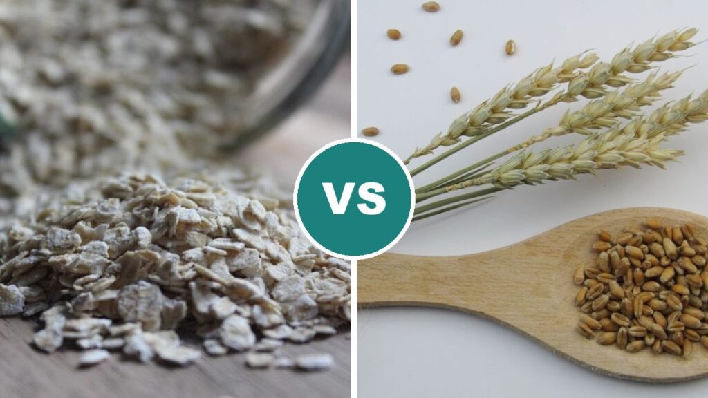 Oats vs Wheat