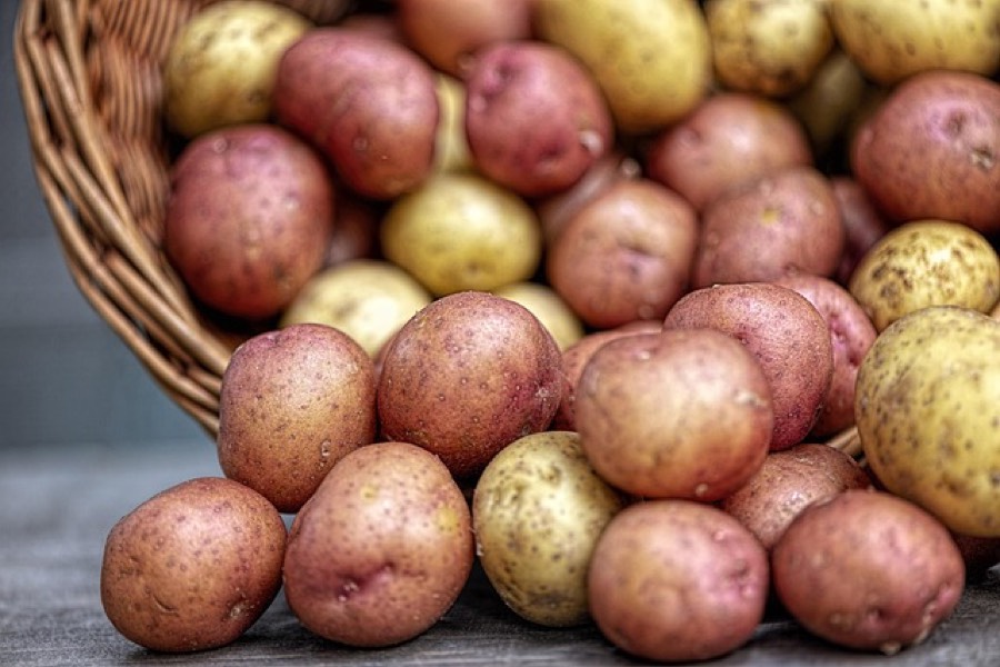 Red and yellow raw potatoes spilling from a wicker basket onto a wooden surface