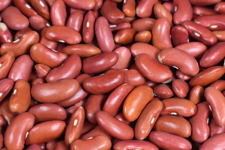 Dried red kidney beans filling the frame