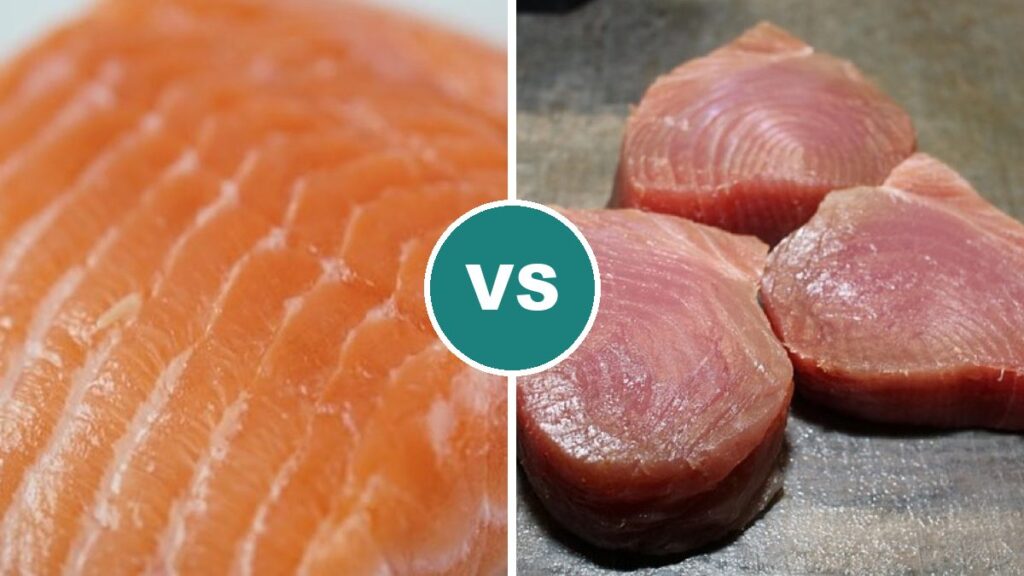 Salmon vs Tuna