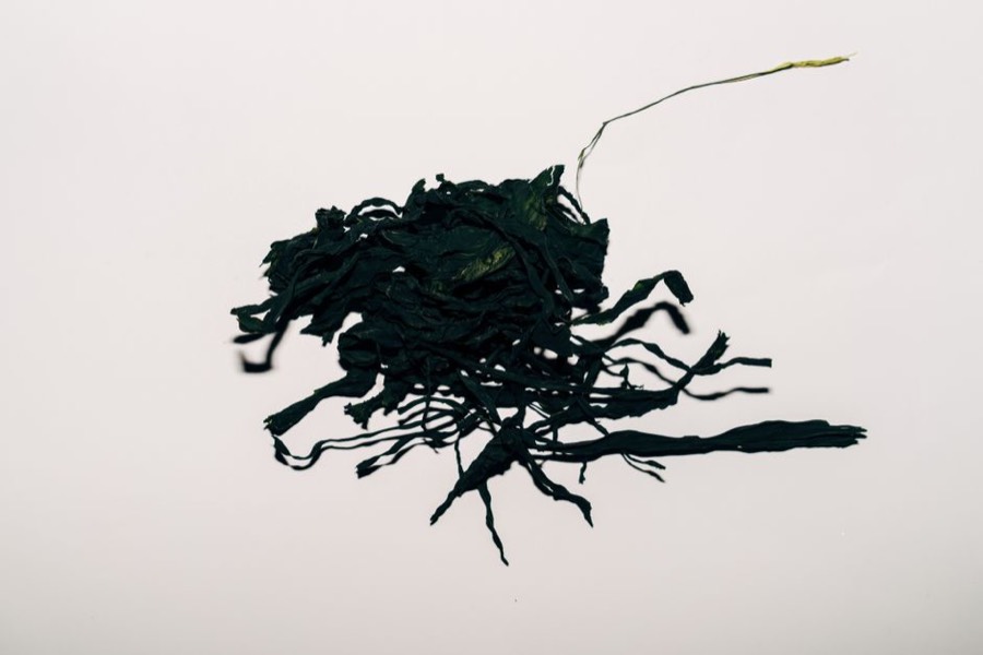 A small pile of dark green dried seaweed strands on a plain light background