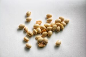 Soy
