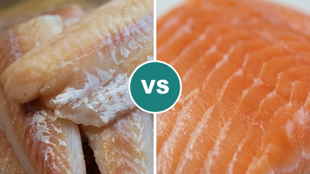 Cod vs Salmon